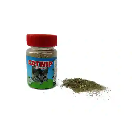 Cat Nip Premiun X 20gr