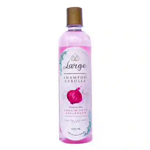 Shampoo De Cebolla