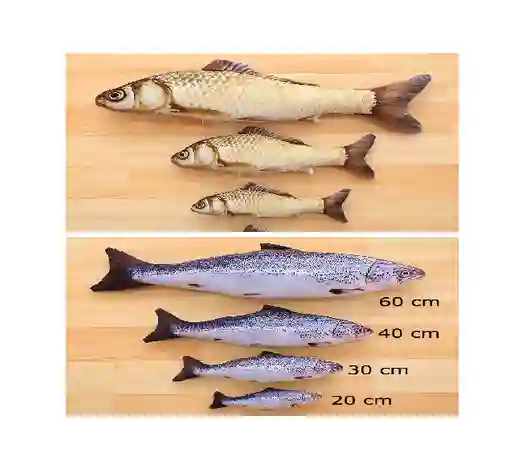 Pescados Con Catnip Xl - Pj03a60cm