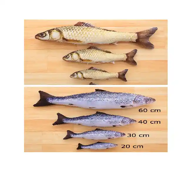 Pescados Con Catnip Xl - Pj03a60cm