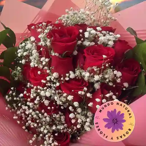 Flores 12 Rosas + Gypsophila