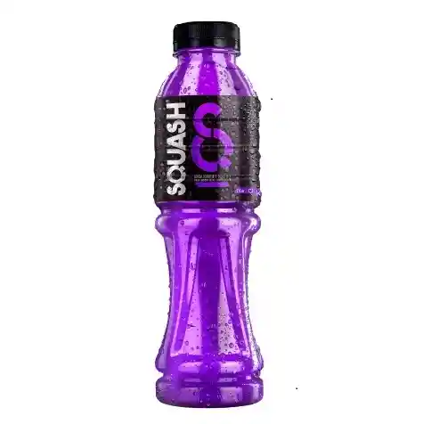 Squash Bebida Hidratante Frutas Silvestres 500 Ml