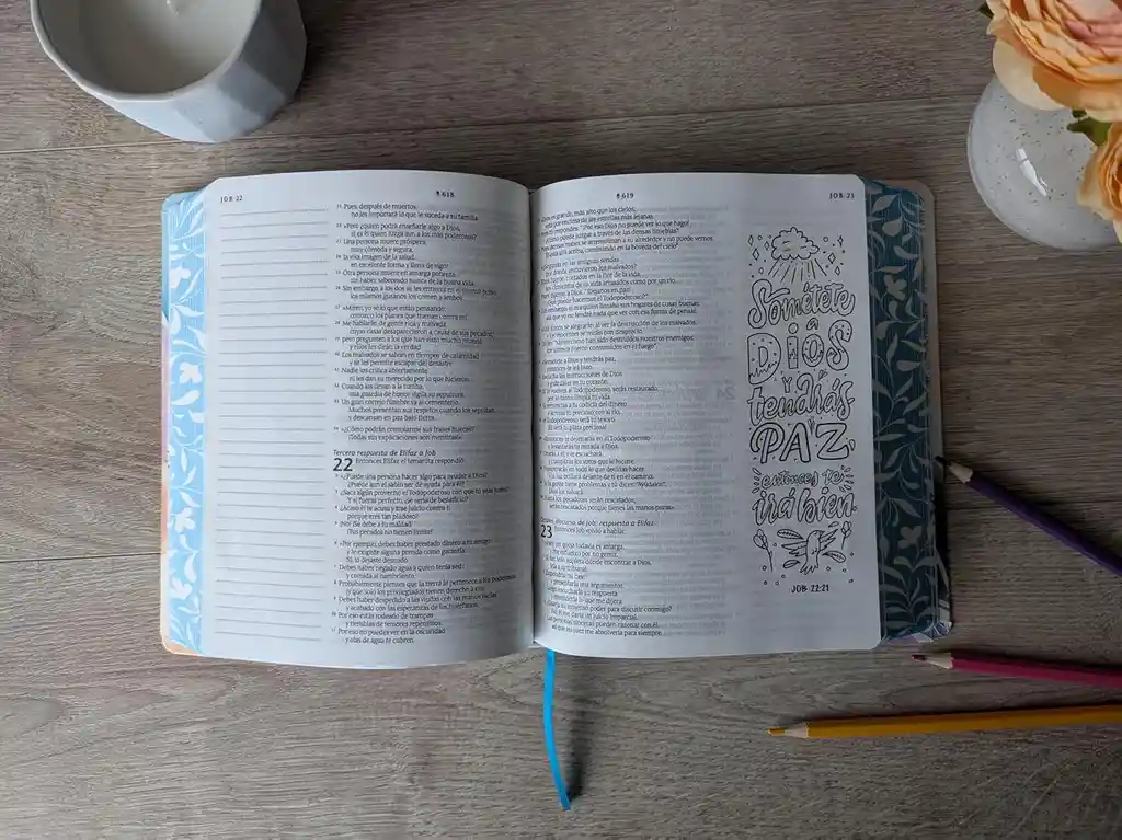 Biblia Inspira Ntv Sentipiel Oro – Filament App