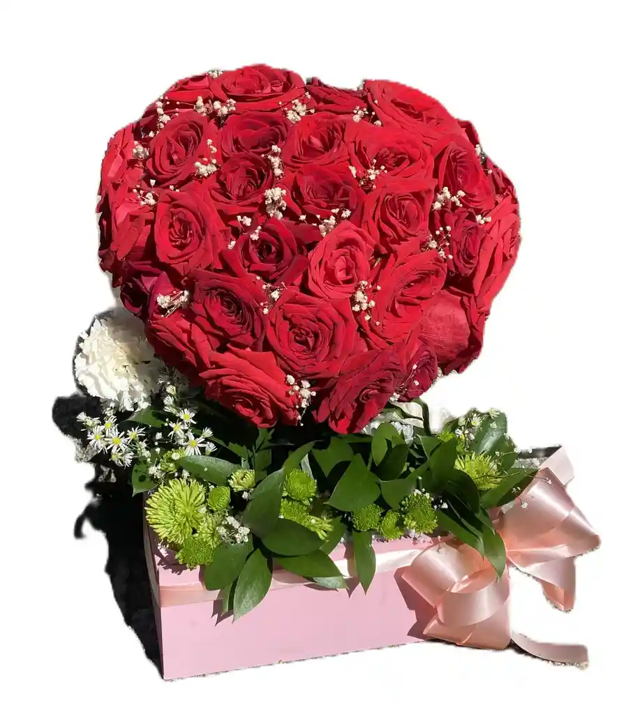 Rosas Rojas Promesa De Amor