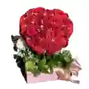 Rosas Rojas Promesa De Amor
