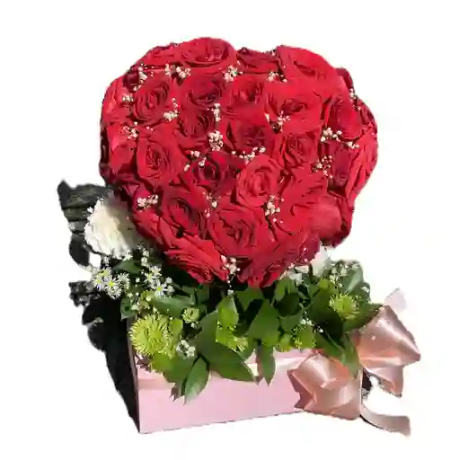 Rosas Rojas Promesa De Amor