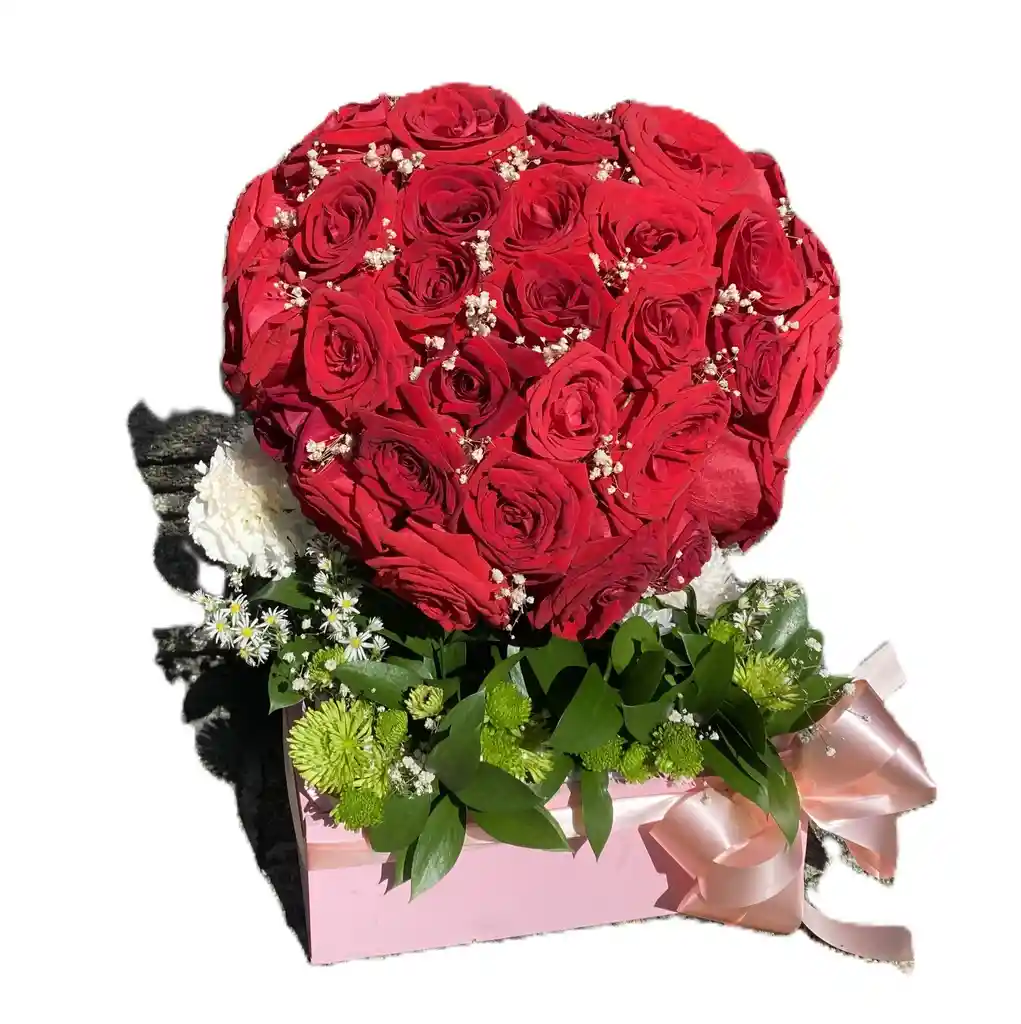 Rosas Rojas Promesa De Amor