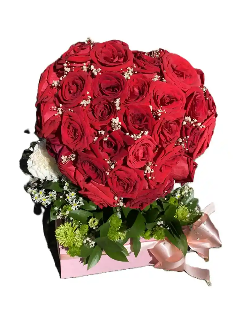 Rosas Rojas Promesa De Amor