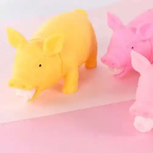 Cerdito Con Pito