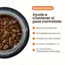 Alimento Seco Nativo Light Pollo/pescado Kanu Pet Para Gato Castrado 8 Kg