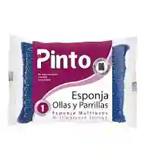 Esponja Ollas Y Parrillas Pinto