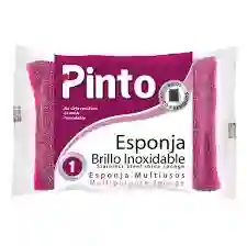 Esponja Brillo Inoxidable Pinto