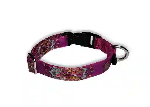 Collar Deko Hebilla Plastica Razas Medianas X 1"