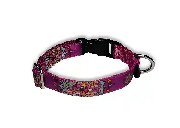 Collar Deko Hebilla Plastica Razas Medianas X 1"