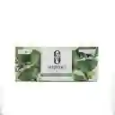 Orquídea Aromática De Toronjil