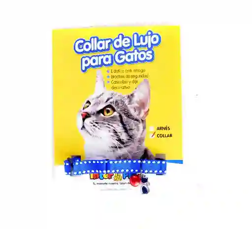 Collar Gato Con Cascabel