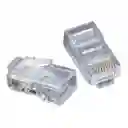 Plug Rj-45