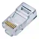 Plug Rj-45