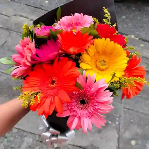 Bouquet De Gerberas Co