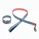 Correa Con Collar - Material Cuero Talla M