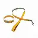 Correa Con Collar - Material Cuero Talla M