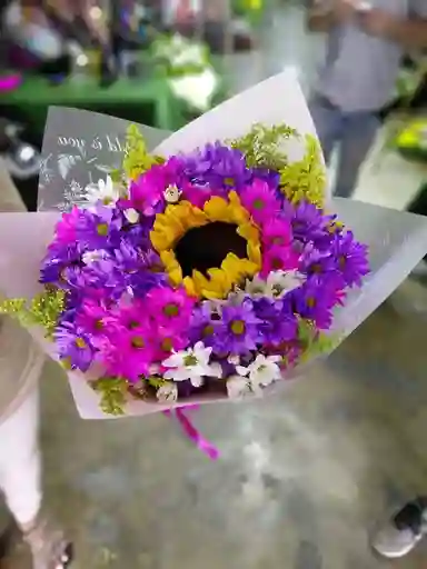 Margaritas Surti, Girasol
