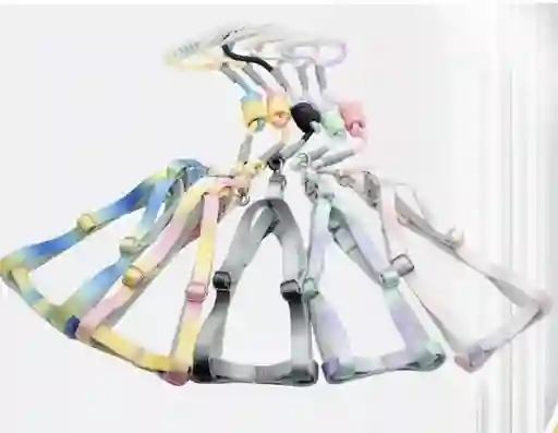 Arnés Y Traílla Colores Degradados Talla L Modelos Surtidos