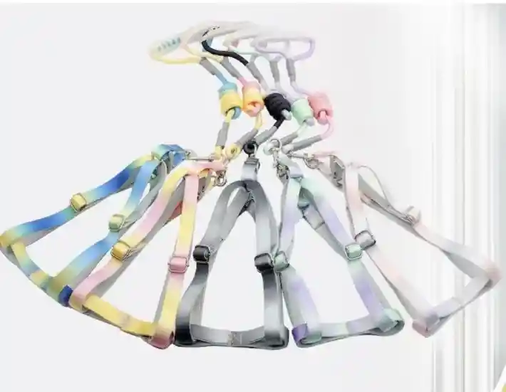 Arnés Y Traílla Colores Degradados Talla L Modelos Surtidos