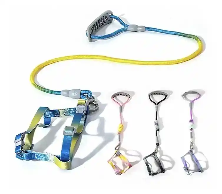 Arnés Y Traílla Colores Degradados Talla L Modelos Surtidos