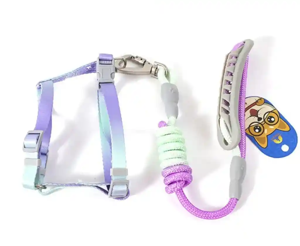 Arnés Y Traílla Colores Degradados Talla L Modelos Surtidos