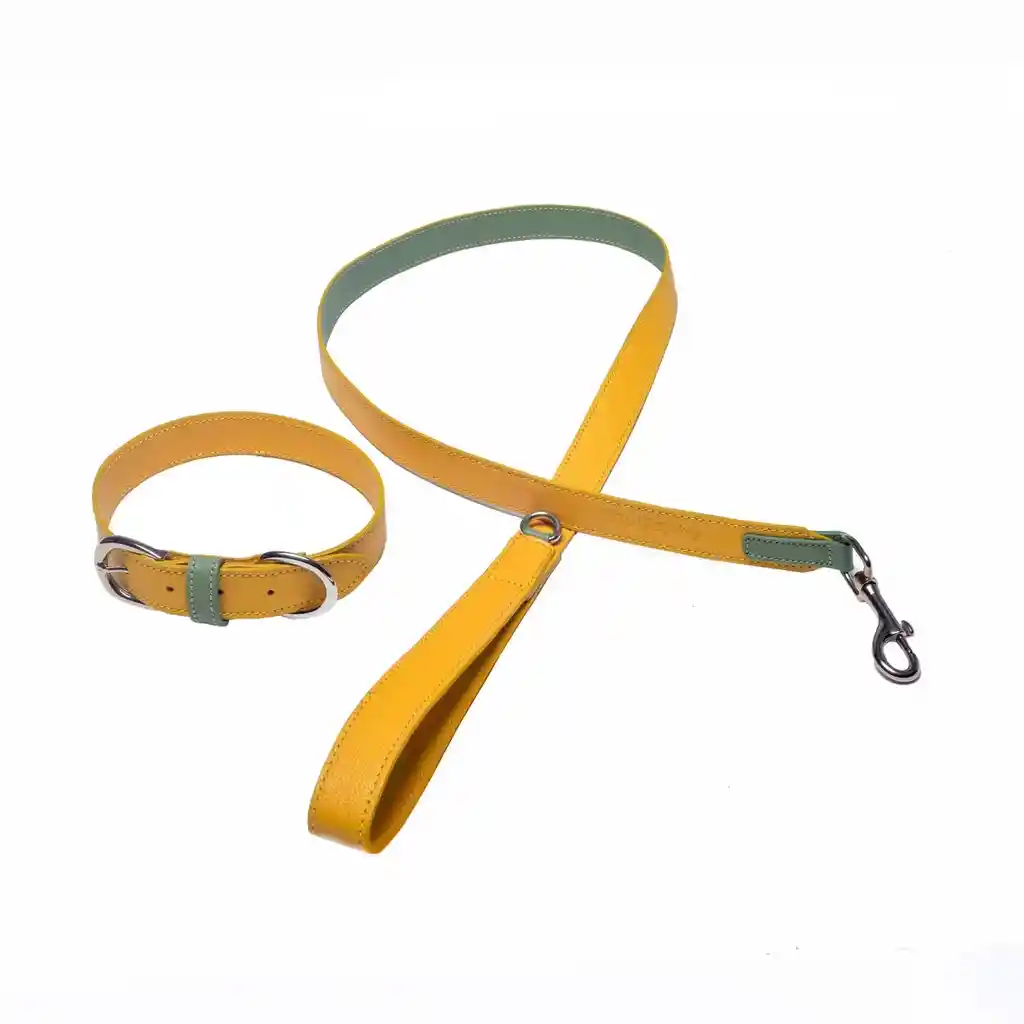 Correa Con Collar - Material Cuero Talla Xxs