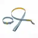 Correa Con Collar - Material Cuero Talla Xxs