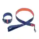 Correa Con Collar - Material Cuero Talla Xxs