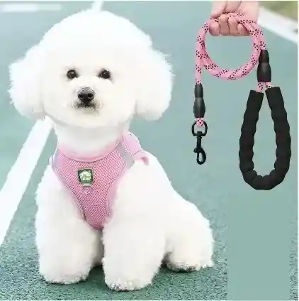 Pechera Con Traílla Reflectiva Mango De Goma Talla Xl Pecho 49-59cm