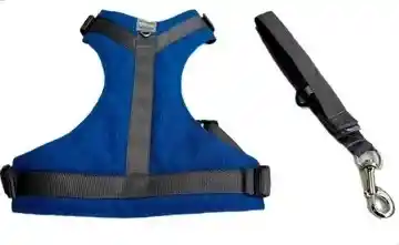 Pechera Deportiva - Talla S