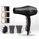 Secador Profesional Digital - Dolphin Rose