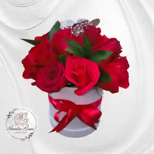 Mini Box Rosa Roja