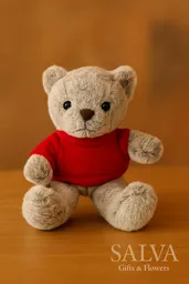 Peluche Oso Con Saco Rojo