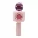 Microfono Karaoke X9 Usb Con Efectos De Voz Conejo Rosa