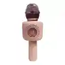 Microfono Karaoke X9 Usb Con Efectos De Voz Conejo Rosa