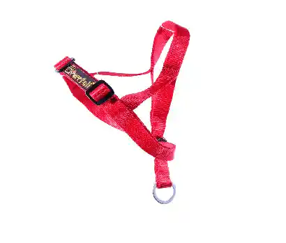 Halty Cabresto Entrenamiento Mediana