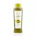 Shampoo De Agaucate Anyeluz