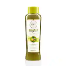 Shampoo De Agaucate Anyeluz