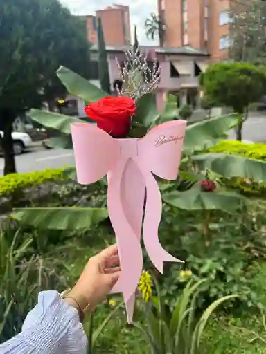 Solitario Moño Rosa