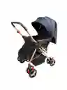 Coche Paseador Bebe Barra Reversible Azul Juguete Mosquitero