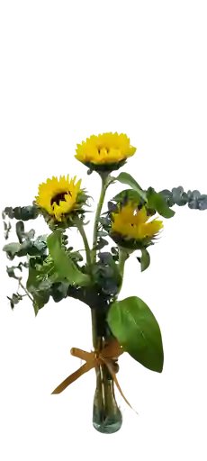 Girasoles En Solitario