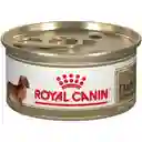 Royal Canin Dachshund Adulto Lata 85g