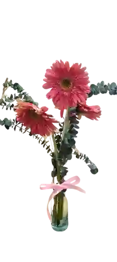 Gerberas Rosadas En Solitario