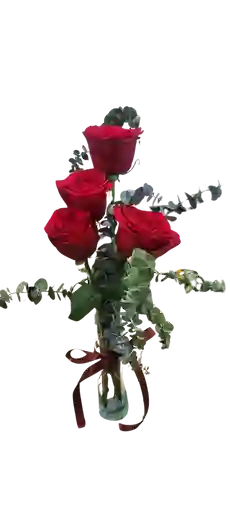 Rosas Rojas En Solitario