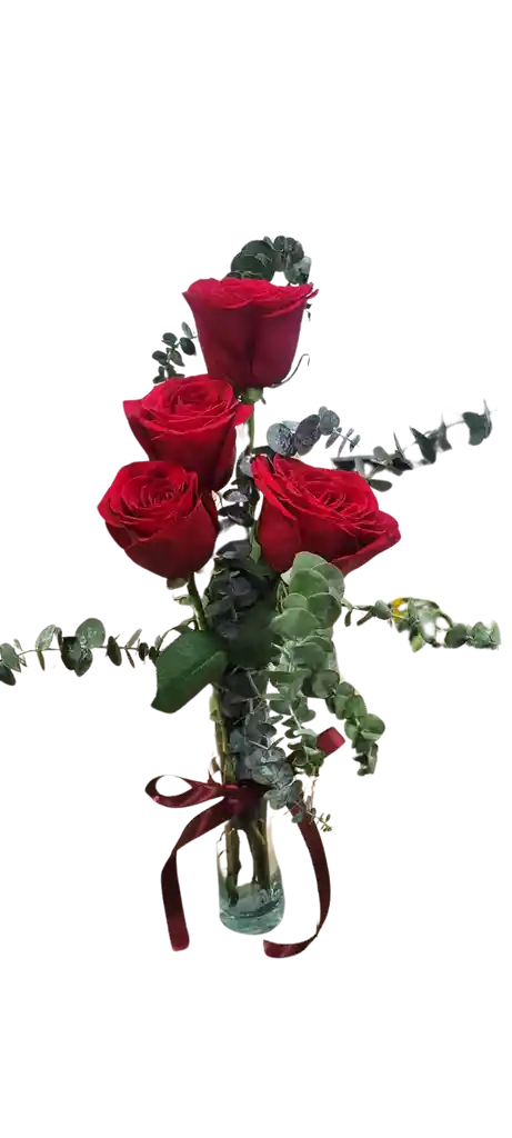 Rosas Rojas En Solitario